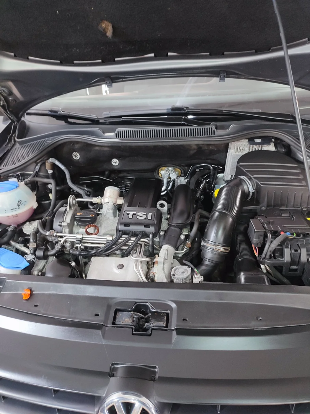 Compartimento motor de un Volkswagen Polo TSI limpio y acondicionado tras el detallado estético de motor